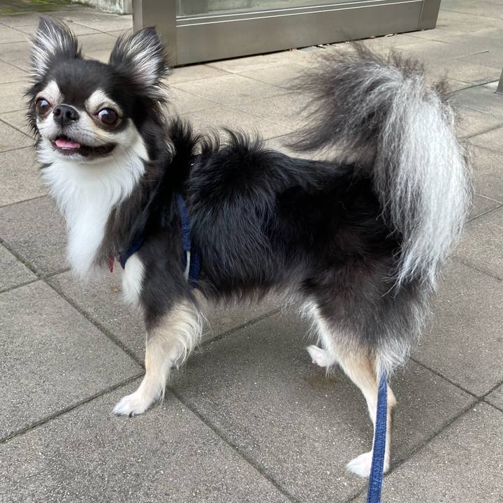 3124522d cd14 47b3 b38f 4438ba7f9d3e 1663923903150