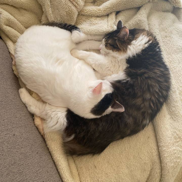 31246715 803a 427b 864f ee75dc04add7 1672009332524