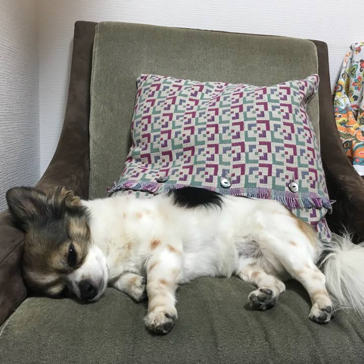 31247eff e8ed 498c ad5a 05edf8441471 1527596528094