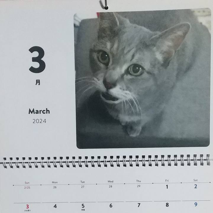 31248736 fc00 4986 8530 a5b9bf58c1ed 1709252187946