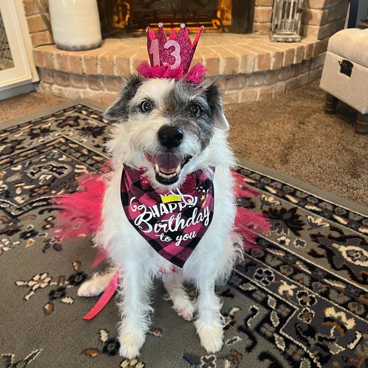 3124a34f 8eee 4ec3 9d2e 91b8177b848f 1707688918794