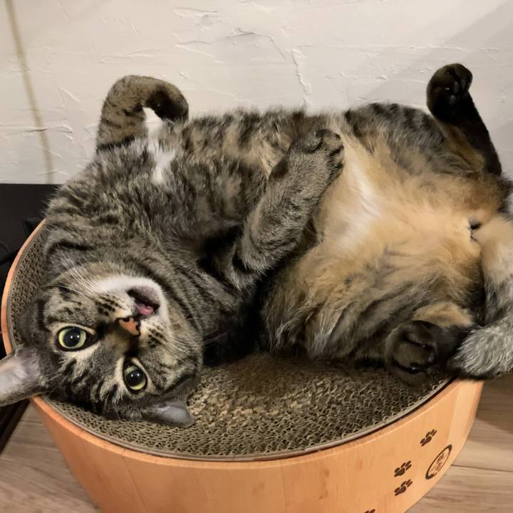 3124b3ae 51e5 4f8e 97f3 1027d55299bb 1678361449649