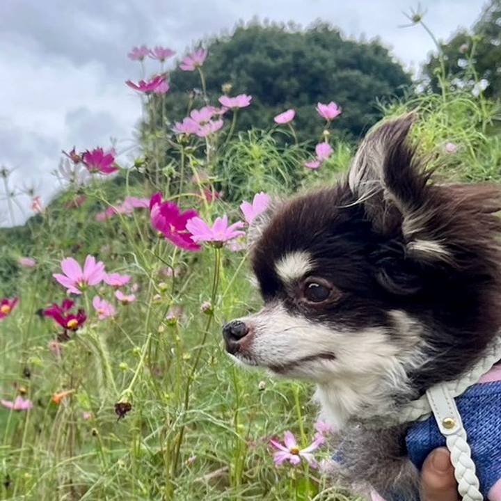 3124c70a 77c2 4934 9212 f6221ec53525 1758764511102