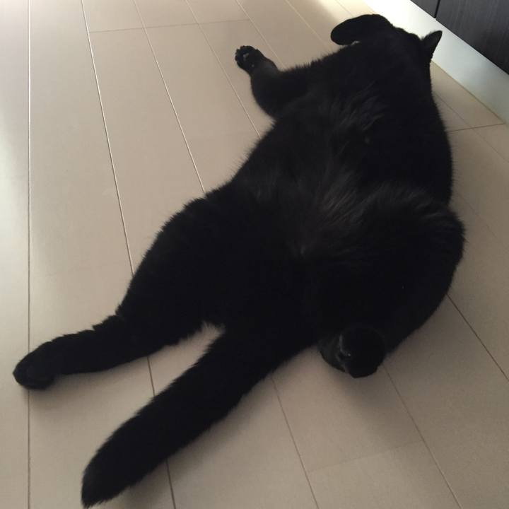 3124d4f2 ee53 4c95 bd2b 170814cd603b 1534753262462