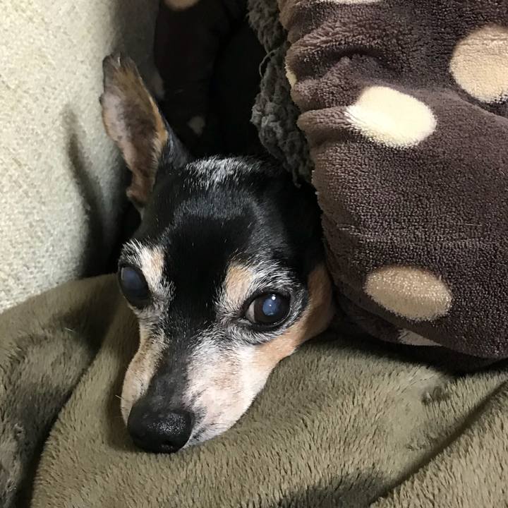 3124fef7 9918 4a4f be3d 079ded902b82 1547283288124