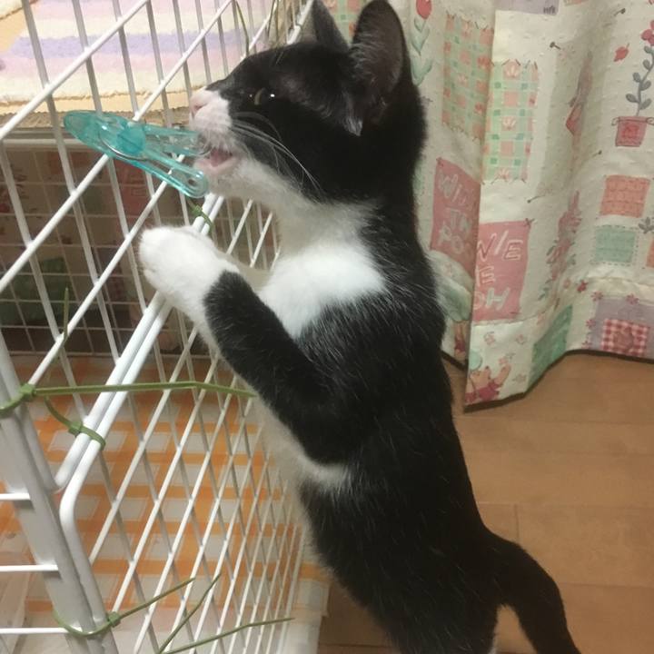 31254da9 f3aa 40c0 bfb9 0f274843929f 1616331659184