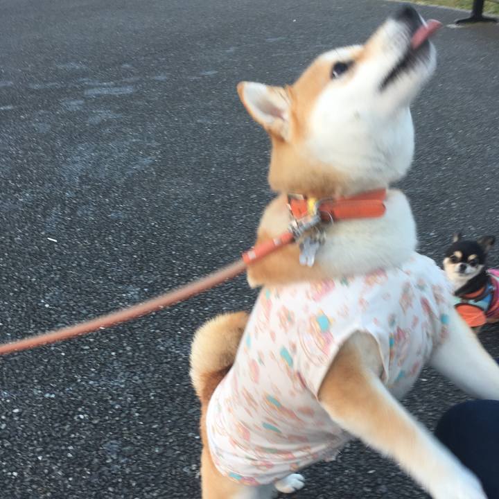 31255da2 421f 429e 98e3 9850599d926c 1551781823538