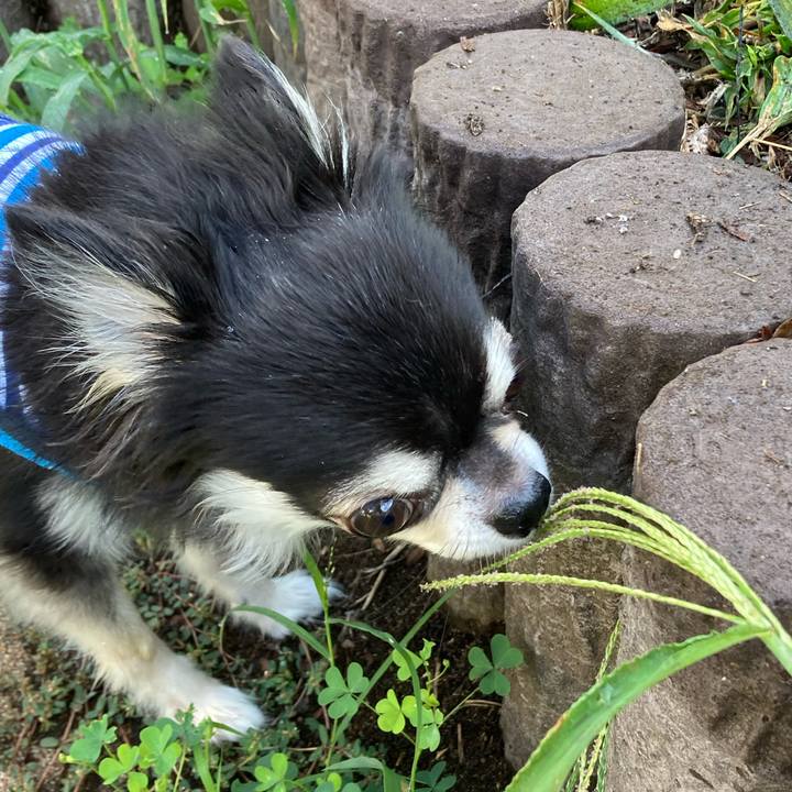 31256e6f 7bef 4bf5 adb4 06eb969ec4ef 1694357113564