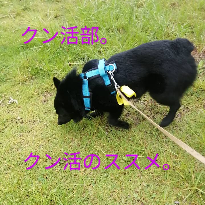 31258f21 647c 4c29 bb03 4e6167fbfaf7 1659743474194