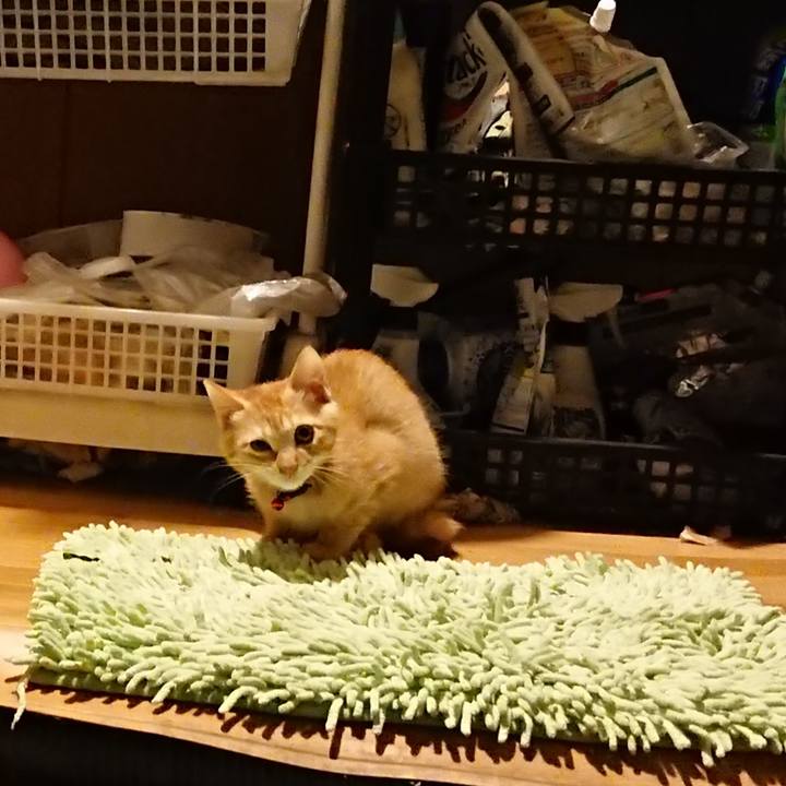 3125d38e 4975 4268 b7b5 dfb150126438 1631872478989