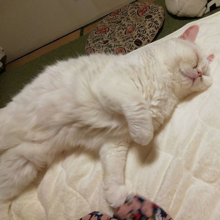 3125e665 d035 4378 84a7 35d68ed978a7 1634984405953