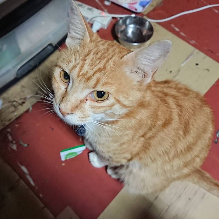 31260f0b fbb3 4f5a a568 d24d26765b16 1561492282014