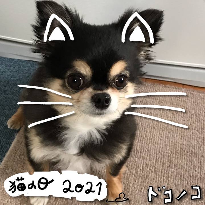 31260f3a 45ce 4476 807c 38f2dbd8d4b9 1613965170511