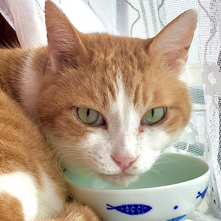 31261af6 498c 4119 a92d fc831a9a0612 1585627038442