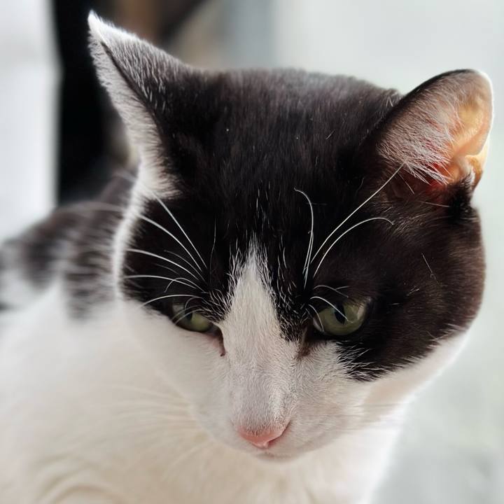 3126244f 27d7 4e28 8da6 9765fafe12af 1670636615100