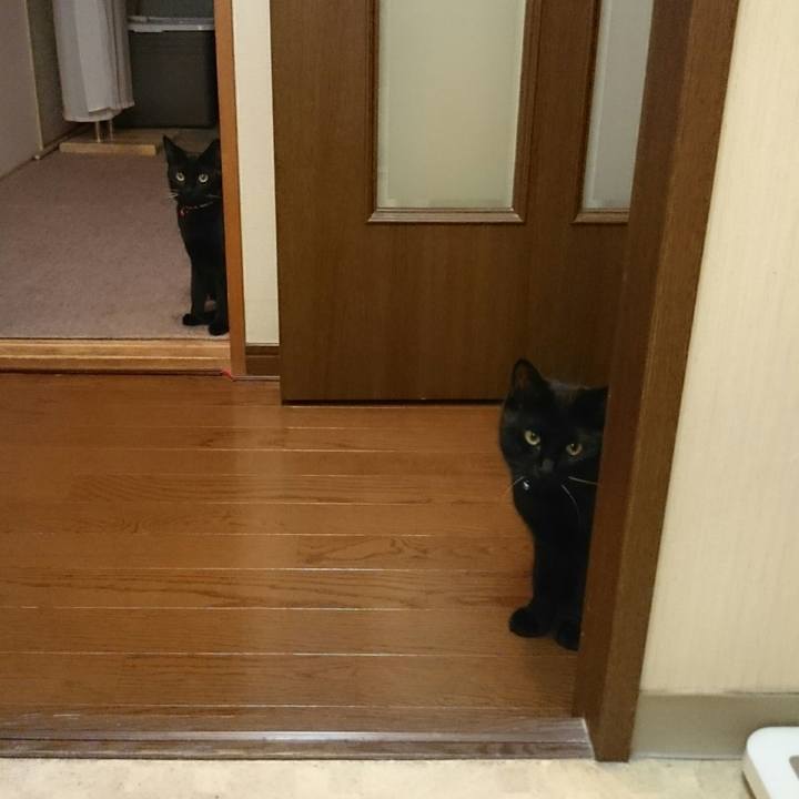 31262869 9983 4e12 af8b d7362066a80f 1510417029726