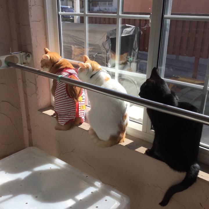 3126323c 50af 40f5 b625 cdbadfcdd07c 1582443903987