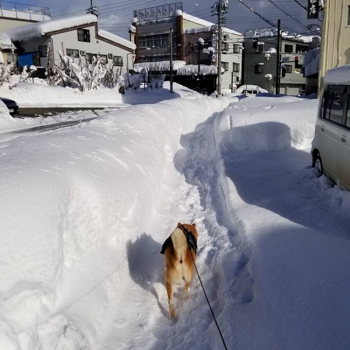 31265a57 2cef 4c65 a3a3 cd55302cab84 1641024294796