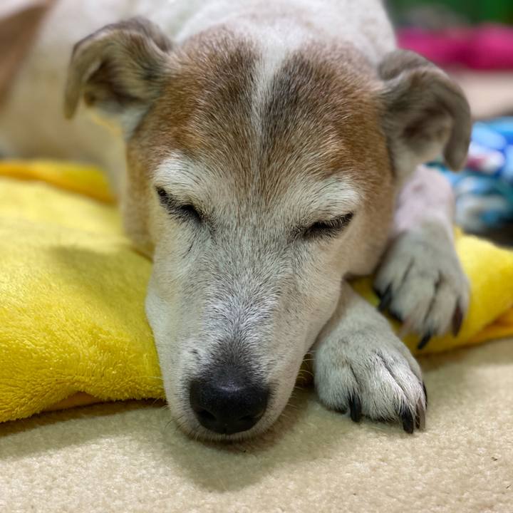 31267de7 5115 45b4 bcb5 8cedd6a2adcb 1621343598532