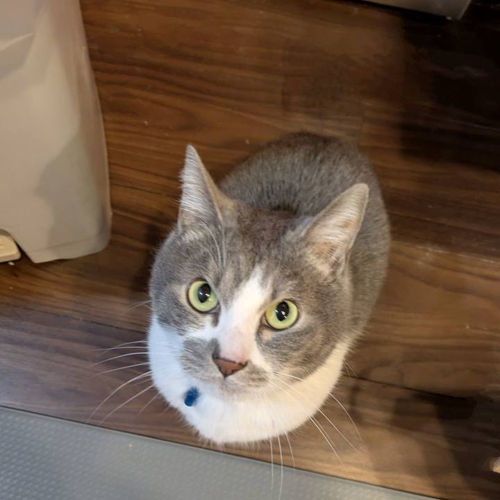 31267ebf d414 4995 9ce6 d6426df05a70 1771243095322