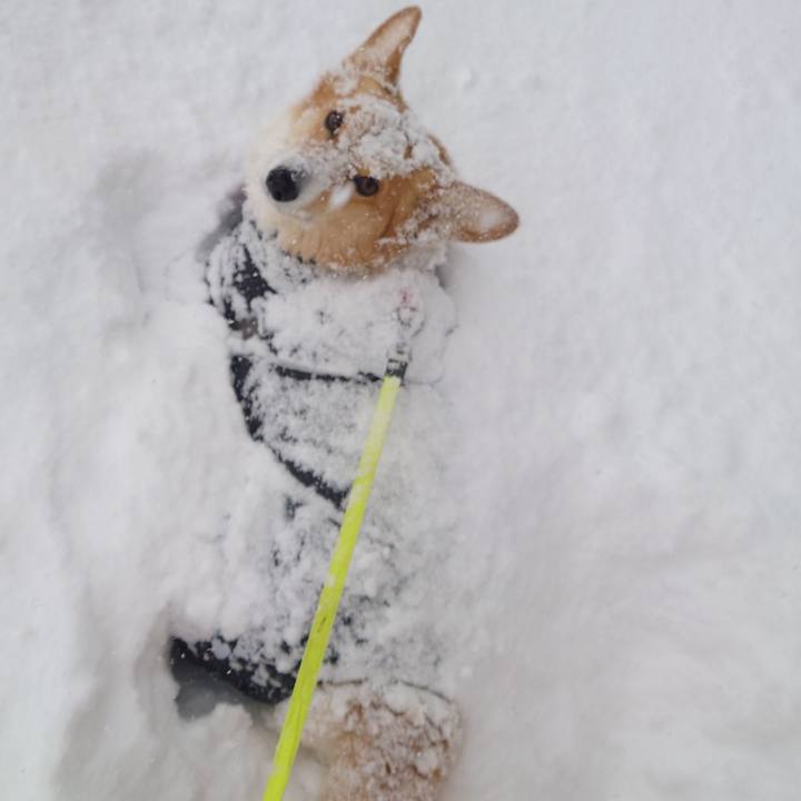 312699a7 e483 4fcc a455 06b20d66f208 1769317371119