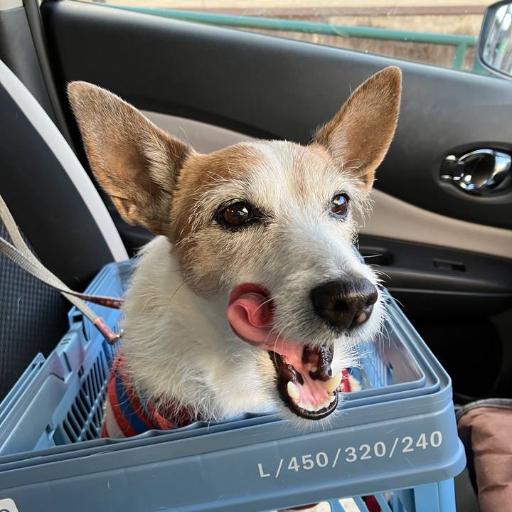 3126f5ae 67ca 487e 95d1 9c79f96efa7f 1738376146514