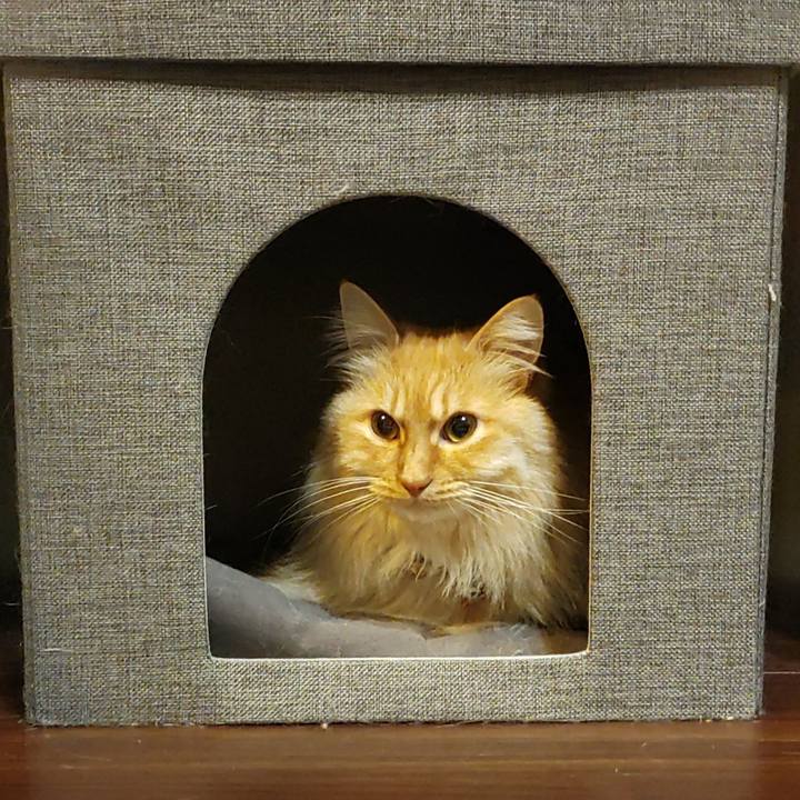 31277e9f c688 402a ae08 2cf7d31a44dd 1676165690117