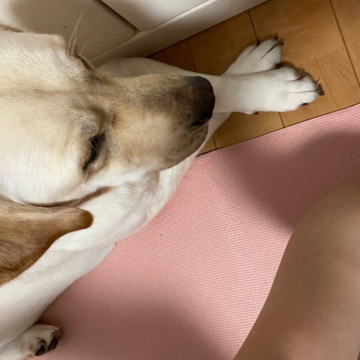 3127a222 da87 4efe a891 0fd9a7215310 1660149866840