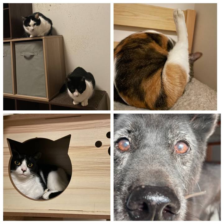 3127cab2 dbe6 42a3 a0b5 964c5e366bba 1701142997711