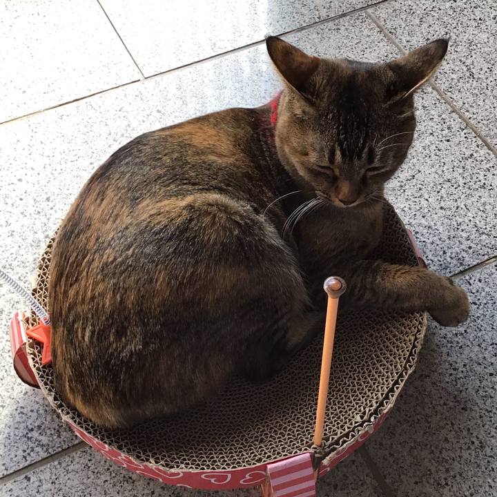 3127d1a1 dfe7 4da6 900c 6c2dcb13e01c 1613970934905