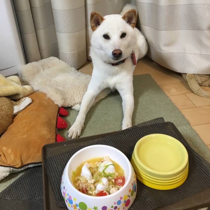 3127e3ac 6da2 4948 ac3b 5b0a25c3f9a1 1563537891167