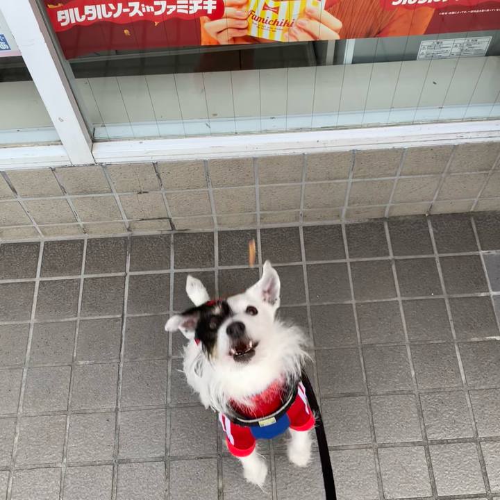 3127e412 bb44 4f8d 9aaf ff696dce4e57 1708302725966