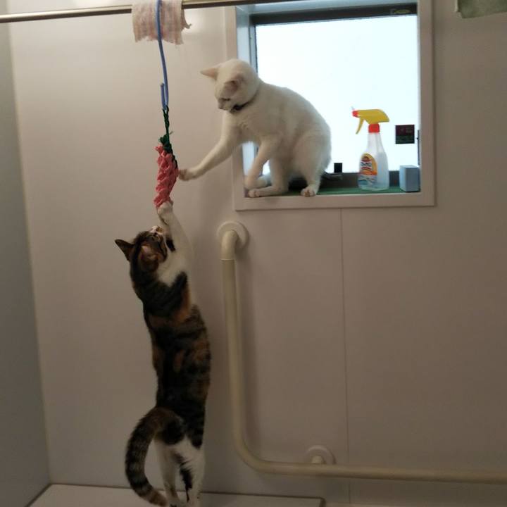 3127ec27 aaf3 41e8 abea 51eafd84fa00 1647569707858