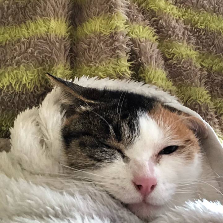 3127ed85 5306 4c42 944e 5e24df4c4cca 1578204532982