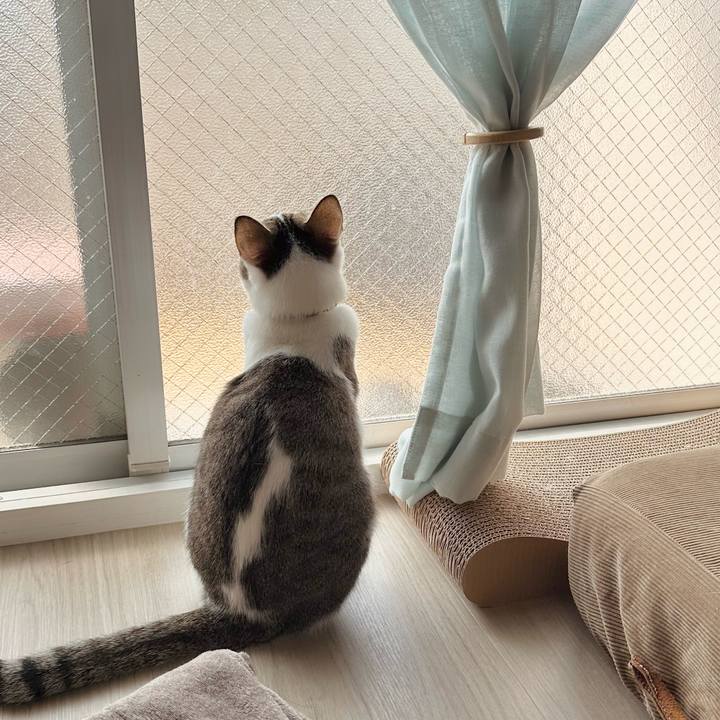 31283588 1dda 43ec 9a32 aed8389be575 1774659328650