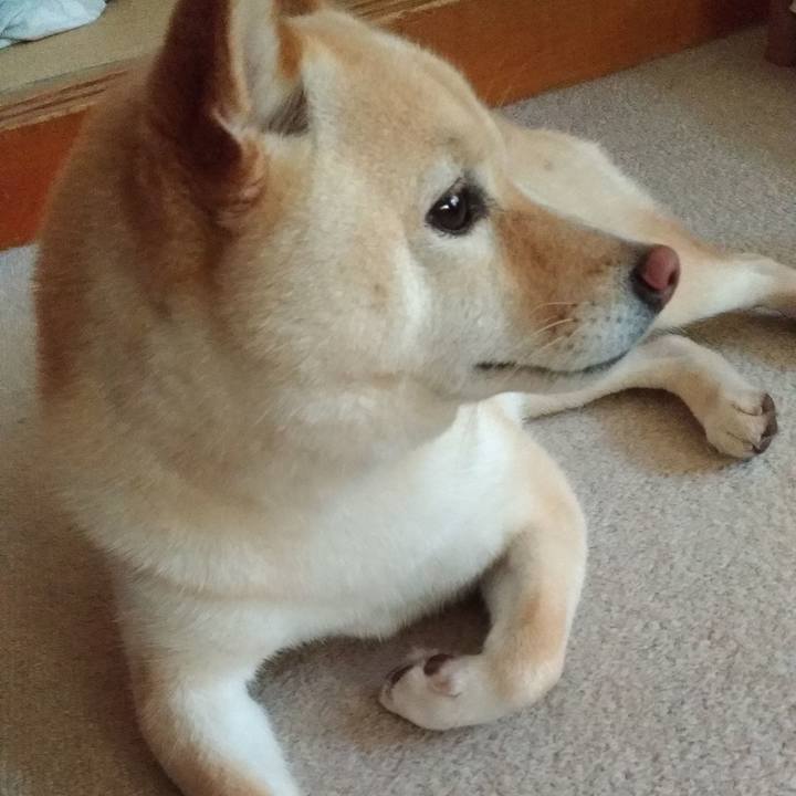 312839ce 56f8 49b2 a3fe 038aa261e733 1591739930093