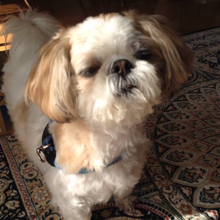 31284b6f 8777 4e50 ab69 3ac7048162bb 1510003882002