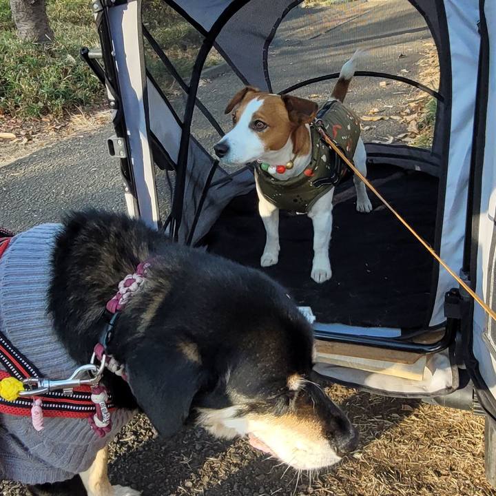 312907b4 583c 48cd 8531 deac9c90dd75 1703918482809