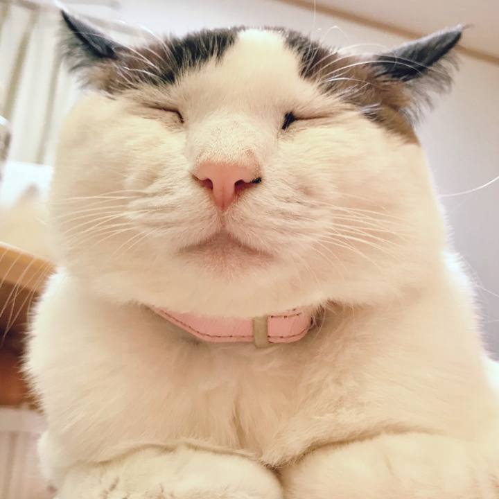 312932fb 24b7 43d2 9eba 6b4ffd4d4c28 1679703766266