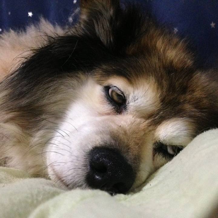 31294ee6 0964 4fc6 81f5 e193cda9e770 1595910760824