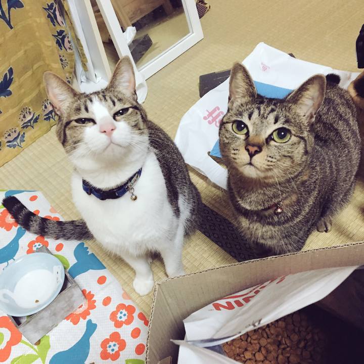 3129679a f2f1 427d b9c1 976571a409fb 1518273221771