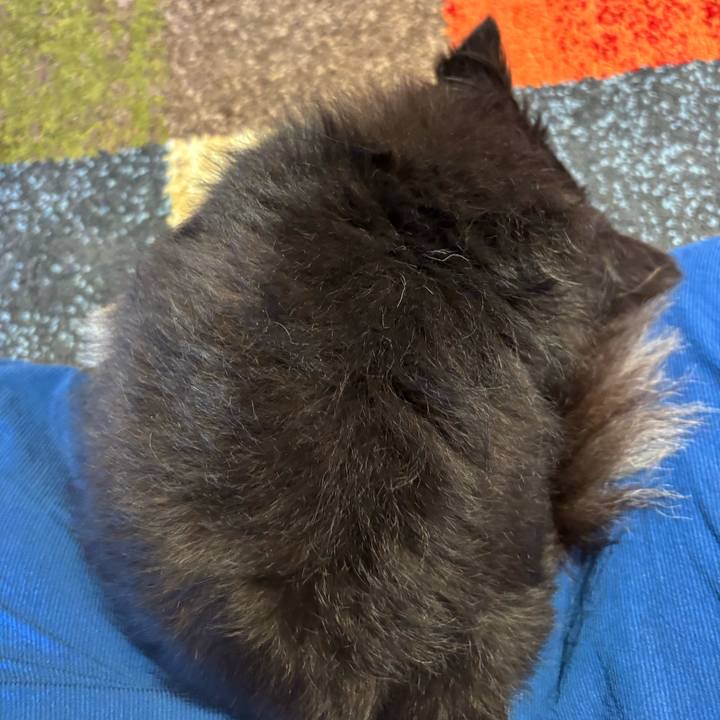 31296a15 f569 4bd2 97ae 31f2d739246b 1755190628977