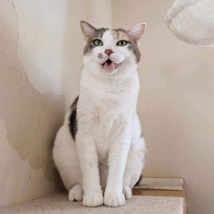 3129966f a123 47ce 899f 54999fb2f757 1724225641053