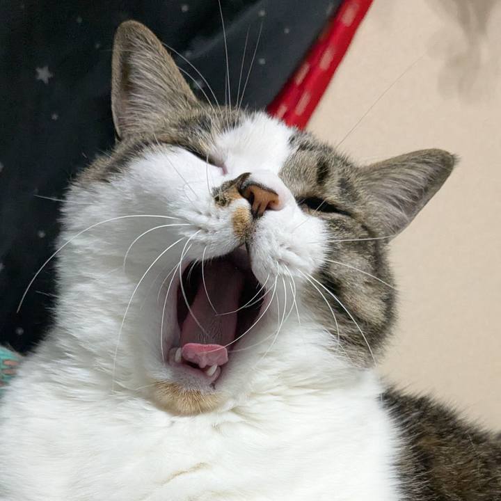 3129ace3 ad9d 4f31 b7b6 ceccd22d8daa 1775731001673