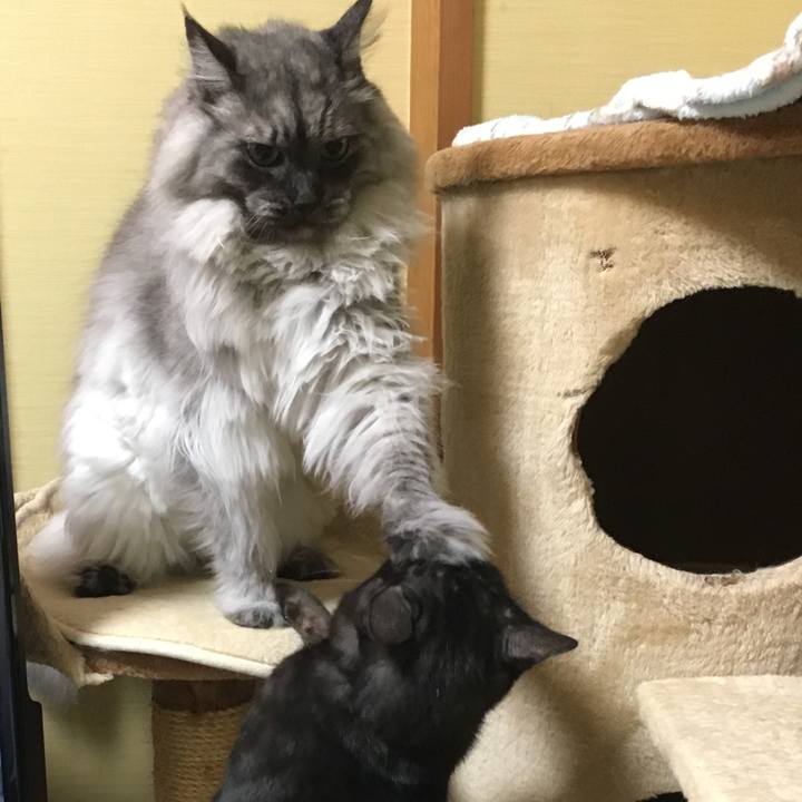 312a0528 f200 4d2b aef7 77ce0d4dc035 1549513384478