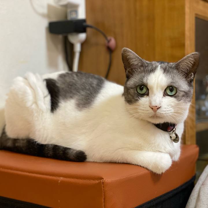 312a1171 41e1 4a23 88e1 ee6aceb8d66f 1632750242852