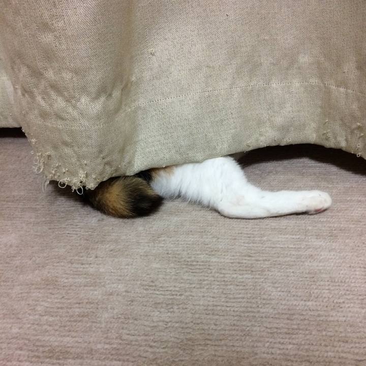 312a2554 51c8 4725 b781 a659354e8b92 1592742544179