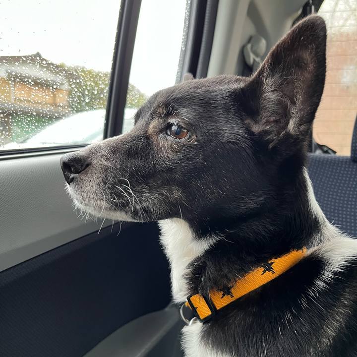 312a45b8 15c4 4d2a b13f e26c0bc523ae 1679100732414