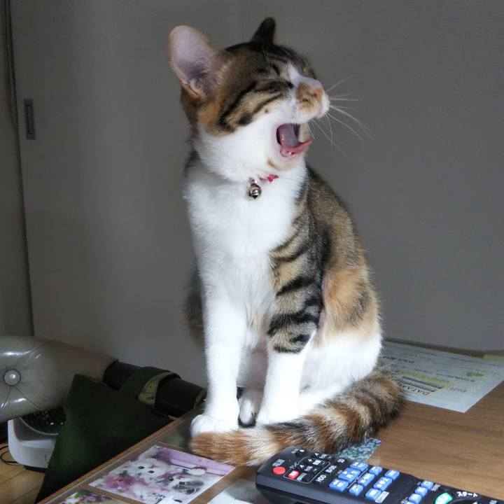 312a8a25 dac8 4e62 b99c dc41cd0dd2e6 1637810736457