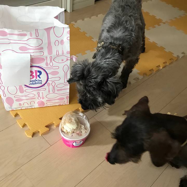 312aab26 3fac 4049 a254 77a9cf30e514 1525327211759